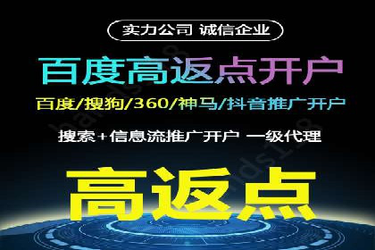 搜索引擎营销（SEM）成功运营的五大案例